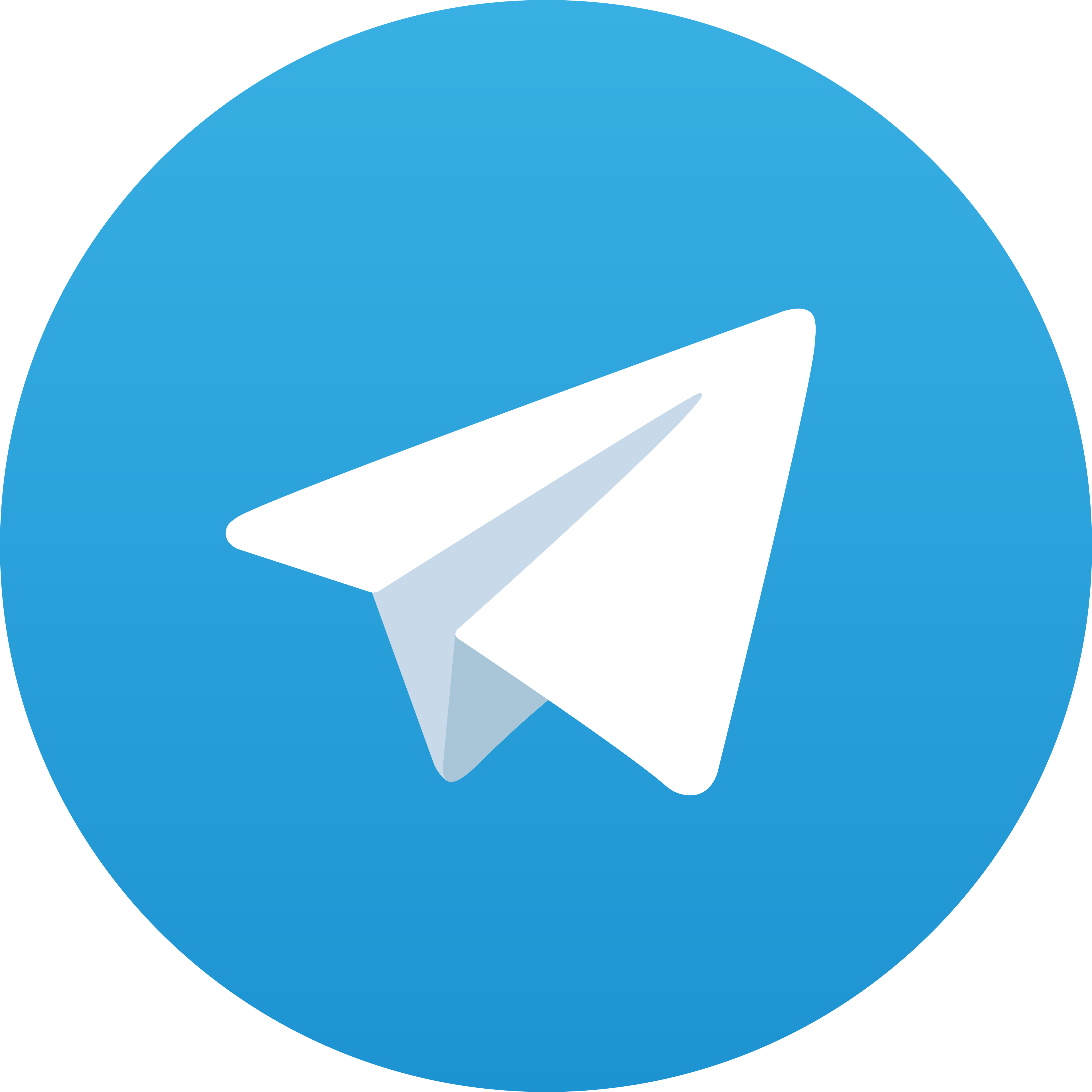 Telegram Saku888